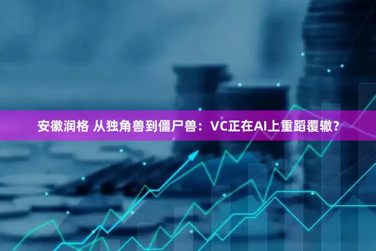 安徽润格 从独角兽到僵尸兽：VC正在AI上重蹈覆辙？