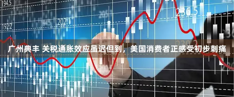 广州典丰 关税通胀效应虽迟但到，美国消费者正感受初步刺痛