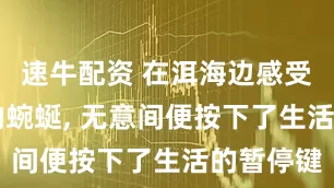 速牛配资 在洱海边感受“S”形的蜿蜒, 无意间便按下了生活的暂停键